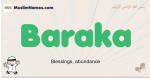 Baraka muslim boys name and meaning, islamic boys name Baraka