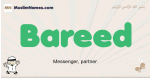 Bareed muslim boys name and meaning, islamic boys name Bareed