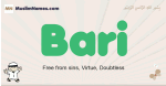Bari muslim boys name and meaning, islamic boys name Bari