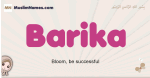 Barika muslim girls name and meaning, islamic girls name Barika