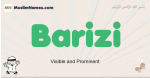 Barizi muslim boys name and meaning, islamic boys name Barizi