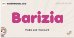 Barizia muslim girls name and meaning, islamic girls name Barizia