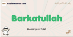 Barkatullah muslim boys name and meaning, islamic boys name Barkatullah