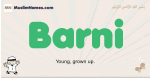 Barni muslim boys name and meaning, islamic boys name Barni