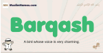 Barqash muslim boys name and meaning, islamic boys name Barqash