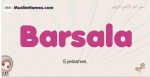Barsala muslim girls name and meaning, islamic girls name Barsala
