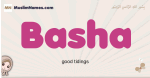 Basha muslim girls name and meaning, islamic girls name Basha