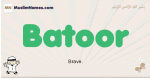Batoor muslim boys name and meaning, islamic boys name Batoor