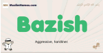 Bazish muslim boys name and meaning, islamic boys name Bazish