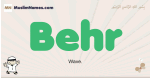 Behr muslim boys name and meaning, islamic boys name Behr
