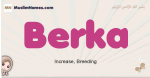 Berka muslim girls name and meaning, islamic girls name Berka