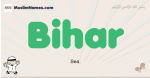 Bihar muslim boys name and meaning, islamic boys name Bihar