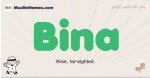Bina muslim boys name and meaning, islamic boys name Bina