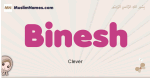 Binesh muslim girls name and meaning, islamic girls name Binesh