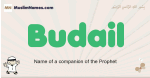 Budail muslim boys name and meaning, islamic boys name Budail