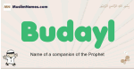 Budayl muslim boys name and meaning, islamic boys name Budayl