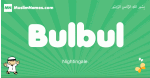 Bulbul arabic boys name and meaning, quranic boys name Bulbul