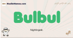 Bulbul muslim boys name and meaning, islamic boys name Bulbul