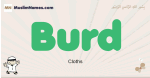 Burd muslim boys name and meaning, islamic boys name Burd
