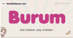 Burum muslim girls name and meaning, islamic girls name Burum