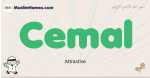 Cemal muslim boys name and meaning, islamic boys name Cemal