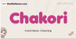 Chakori muslim girls name and meaning, islamic girls name Chakori