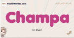 Champa muslim girls name and meaning, islamic girls name Champa
