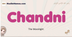 Chandni muslim girls name and meaning, islamic girls name Chandni