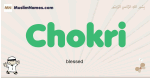 Chokri muslim boys name and meaning, islamic boys name Chokri