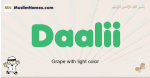 Daalii muslim boys name and meaning, islamic boys name Daalii