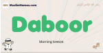 Daboor muslim boys name and meaning, islamic boys name Daboor