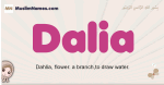 Dalia muslim girls name and meaning, islamic girls name Dalia