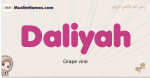 Daliyah muslim girls name and meaning, islamic girls name Daliyah