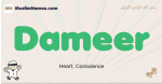 Dameer muslim boys name and meaning, islamic boys name Dameer