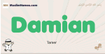Damian muslim boys name and meaning, islamic boys name Damian