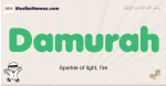 Damurah muslim boys name and meaning, islamic boys name Damurah