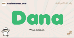 Dana muslim boys name and meaning, islamic boys name Dana