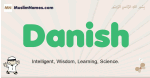 Danish muslim boys name and meaning, islamic boys name Danish