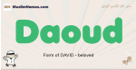 Daoud muslim boys name and meaning, islamic boys name Daoud