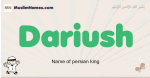 Dariush muslim boys name and meaning, islamic boys name Dariush
