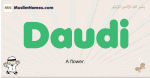Daudi muslim boys name and meaning, islamic boys name Daudi