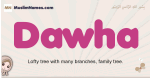 Dawha muslim girls name and meaning, islamic girls name Dawha