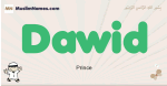 Dawid muslim boys name and meaning, islamic boys name Dawid
