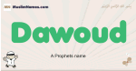 Dawoud muslim boys name and meaning, islamic boys name Dawoud