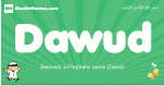 Dawud arabic boys name and meaning, quranic boys name Dawud