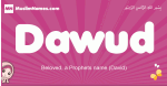Dawud arabic girls name and meaning, quranic girls name Dawud