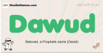 Dawud muslim boys name and meaning, islamic boys name Dawud