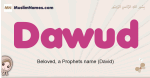 Dawud muslim girls name and meaning, islamic girls name Dawud