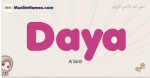 Daya muslim girls name and meaning, islamic girls name Daya