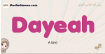 Dayeah muslim girls name and meaning, islamic girls name Dayeah